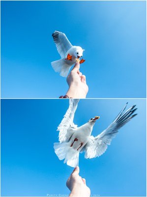 你好！再见！