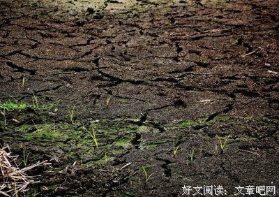 人活着不是为了吃饭