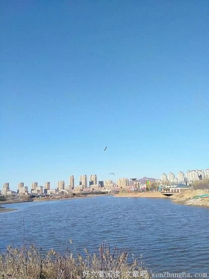 庄河观鸟