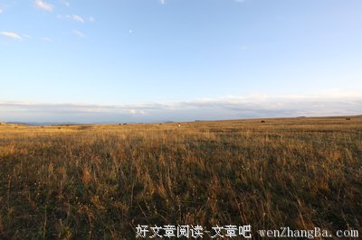 空中草原