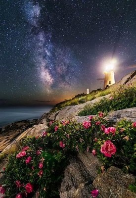 夜读《水浒传》