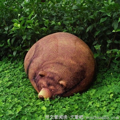 分享，让我们走进你的生活