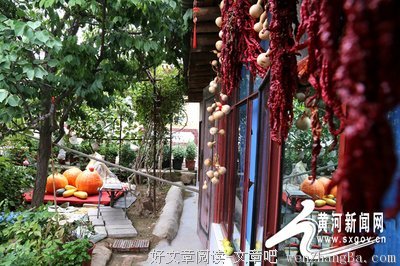 黄河之滨的村庄