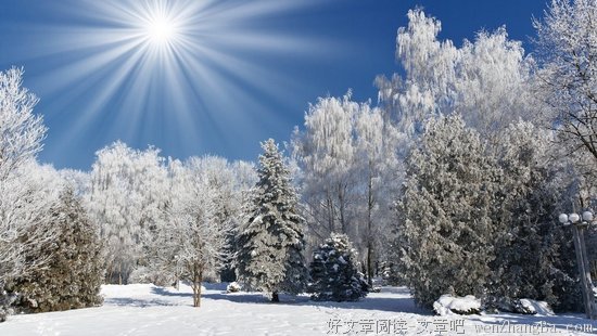 冬天的阳光