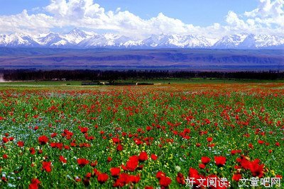 浦江儿女天山情（第七章35）