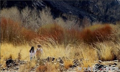 浦江儿女天山情(第八章98)