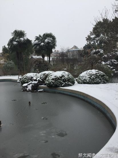 瑞雪