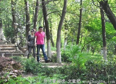 从感恩一缕阳光开始