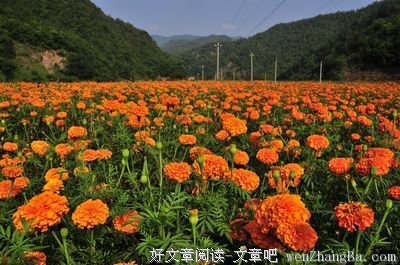  乡记