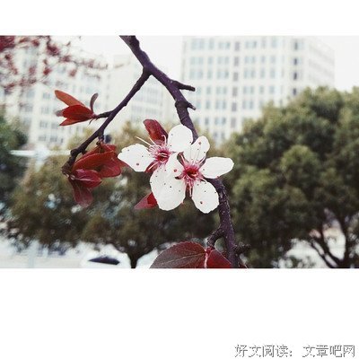 等春天