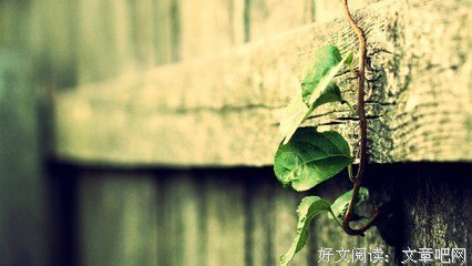 梦游歌