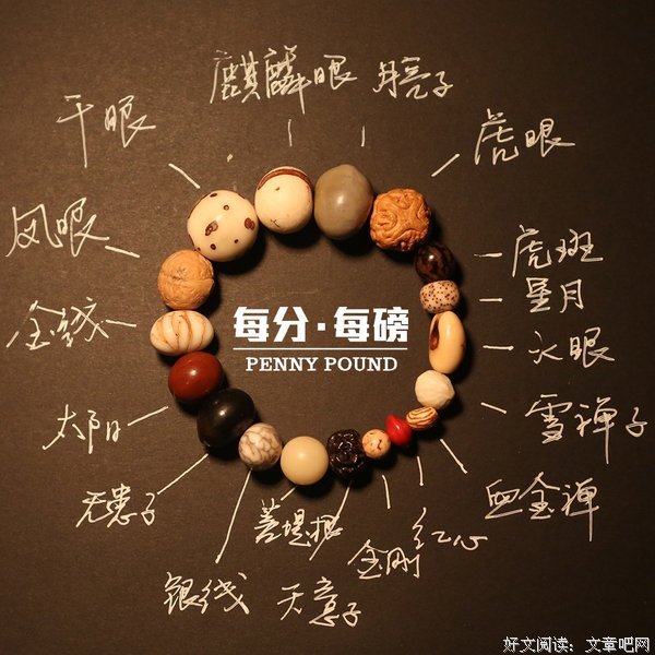 求醒之心，即菩提心