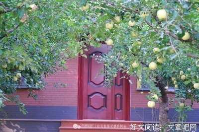 离幻归真赋