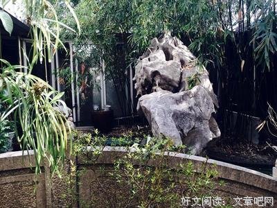 本立而道生 孝就是大根大本