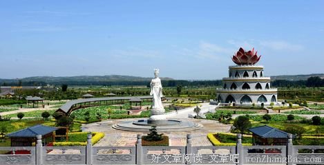 时光葱郁，花开正好