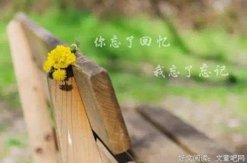 怎么说呢