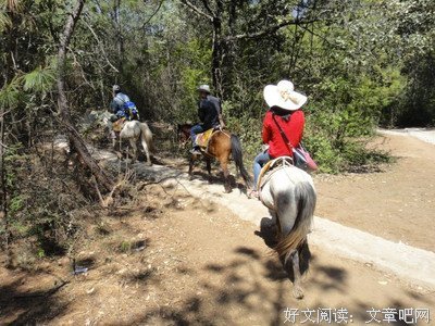 颠沛流离，仍义无反顾