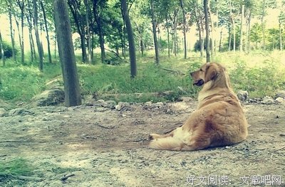如果爱，请深爱