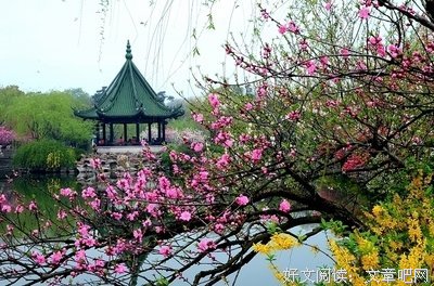 似锦