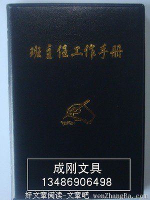 班主任记事之问题出现