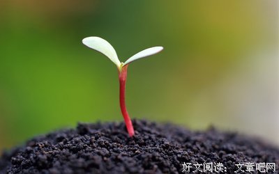 念在天涯，心在咫尺