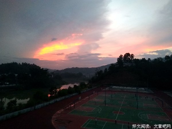 撰写调研论文