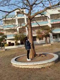 大学·现实