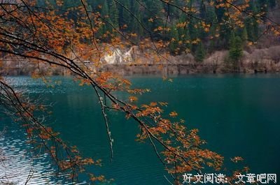 写给渐渐老去的自己