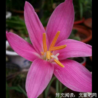 帮助别人就是帮助自己