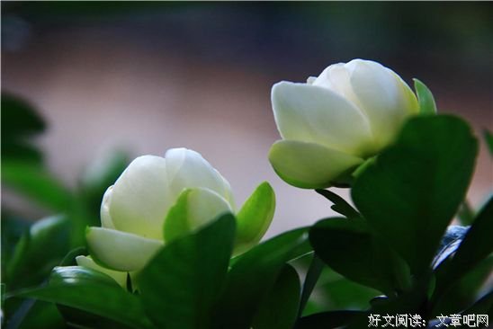 人吧，活的越干净越高贵