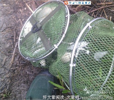 风雨中的坚持