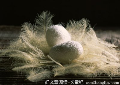 石岭小记者出动了