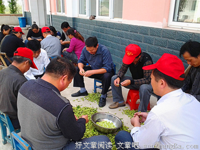 我志愿，我收获