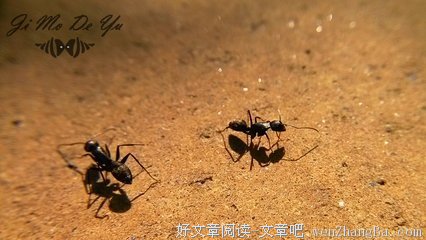 分离，相聚