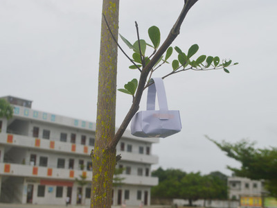 鸡打杂谈