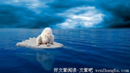 “不同的情书”
