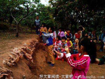 \"雏鹰朝阳\"社会实践队：离别也是成长