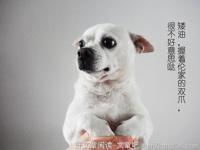 内向的小女孩