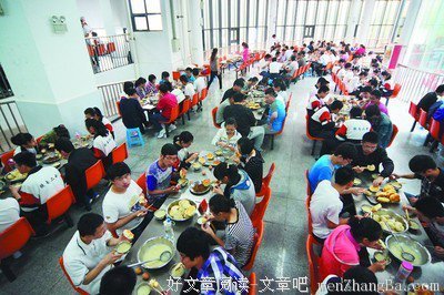 后勤舌尖，缺你不可