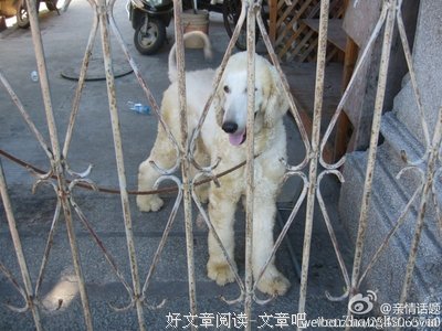  虽不能改变，但尽力去影响