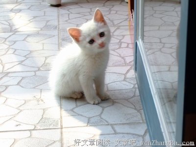 复杂的心情2