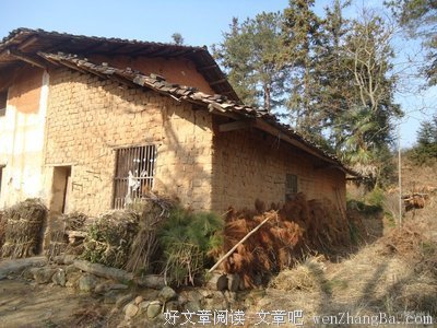 村小人胆儿大——三下乡心得