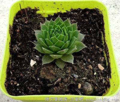 那个明媚的清晨