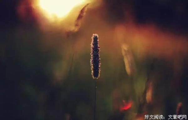 余生，愿有一人，陪你这样到老……