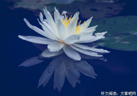 试着接纳自己,而不是指责自己