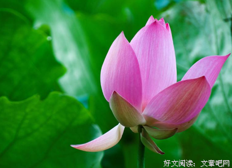 一个人,不论何时都应该有一颗”健康”的心态