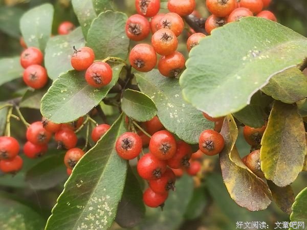 想要得到，需先给之