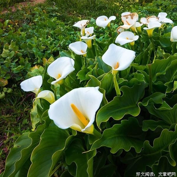 逆向思维，或许会帮你解一时之困