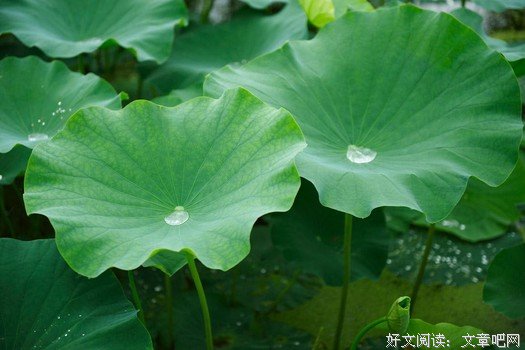 夏天趣事