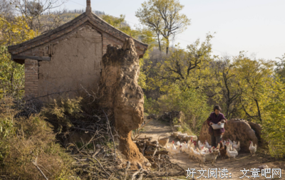 母亲的习惯